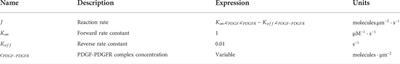 Frequency-dependent signaling in cardiac myocytes